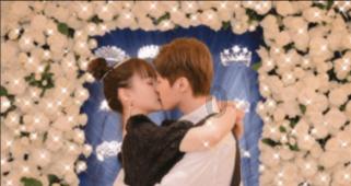 这8种“短”鼻子的狗狗在夏季最容易中暑的,你家的狗狗在其中吗